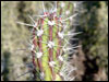 Click here for a larger view
