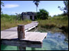 Click here for a larger view